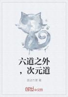 六道之力和外道之力是什么