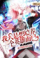 我只是想培养一个英雄而已英语