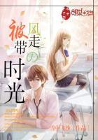 被风带走的时光是什么歌