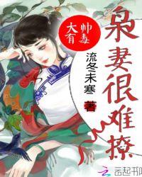 大帅宠妻无度全文阅读