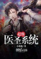 超级医圣高手