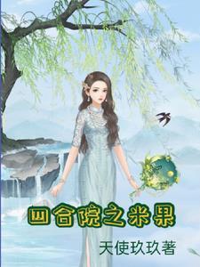 15×16米的四合院