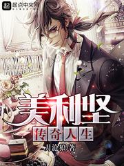 美利坚传奇人生TXT电子书