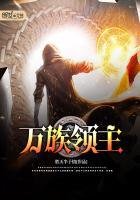 万族领主开局机械族