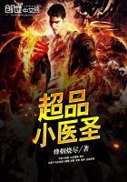 超品医圣笔趣阁