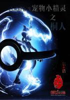 宠物小精灵之梧桐