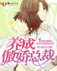 傲娇总裁饲养方式