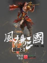 网游三国之风流玩家