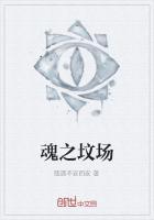 黑暗之魂墓灾是什么