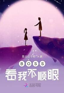boss中看过我是什么