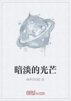暗淡的光芒什么意思