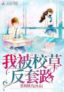 被校草追我的日子免费阅读