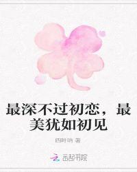 最美不过初相见的意思