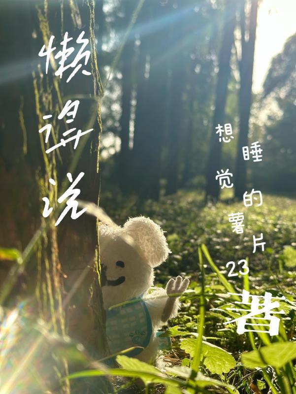 懒得说话怎么了