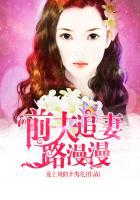 前夫追妻路漫漫全集免费
