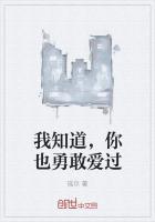 你也勇敢爱过是什么歌