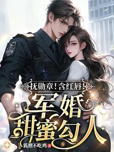 闪婚的军婚