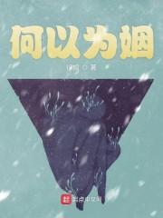 何以为是什么意思