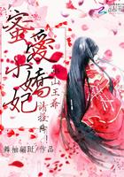 冰山王爷强宠小萌妃