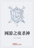 网游之夜杀神免费阅读