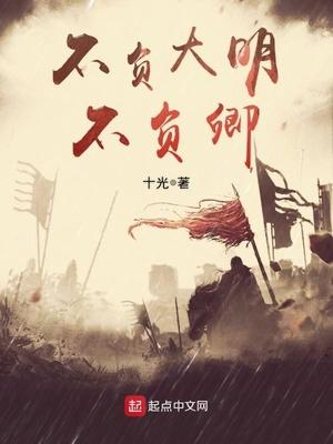 不负大明不负卿TXT