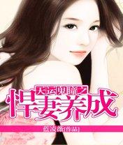 天运鬼瞳之悍妻养成2