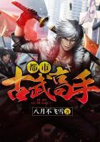 都市古武高手TXT