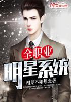 全职业系统免费阅读