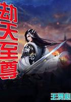 劫天运天之境三大至尊