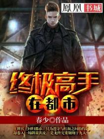 终极高手在线阅读