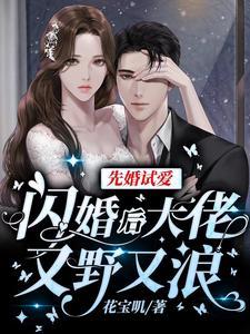 先婚试爱闪婚后大佬又野又浪最新章节
