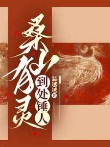 不懂规矩电子书