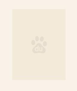 世子凶猛笔趣阁