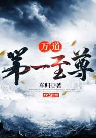 万道第一至尊免费阅读