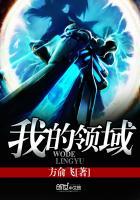 领域是什么意思