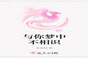与你相识在梦中