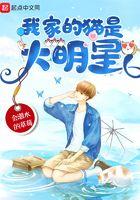 我家猫猫是超可爱的女孩子