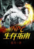 npc生存指南歌曲
