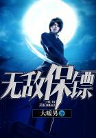 无敌保镖林凡