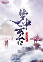 云中梦境茶叶是什么茶