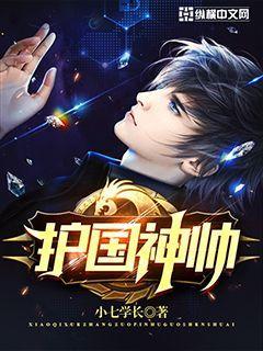 护国神帅叶无道免费播放