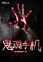 鬼魂手机联机版