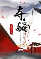 夺嫡是什么意思