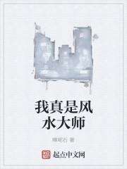 我真是风水大师123