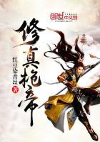 主角修枪的玄幻