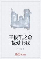 王俊凯总裁宠妻子