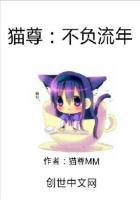 不负流年歌曲完整版