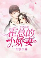 天价宠婚霍总的小娇妻免费阅读全文