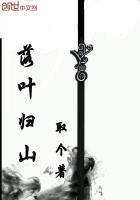 落叶归山海下一句