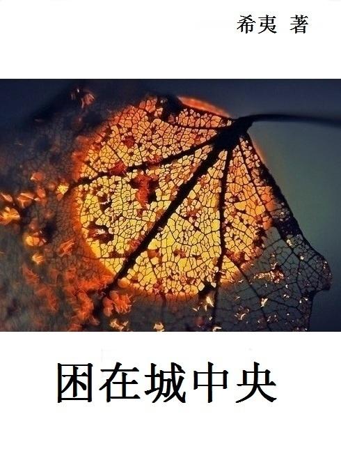 困在城中央 主要讲什么